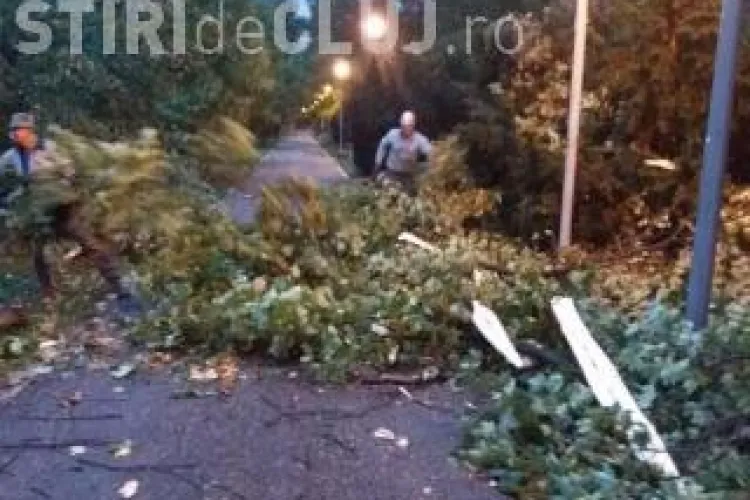 Bilanțul furtunii care a ”măturat” vestul României: 8 morți și aproape 70 de răniți