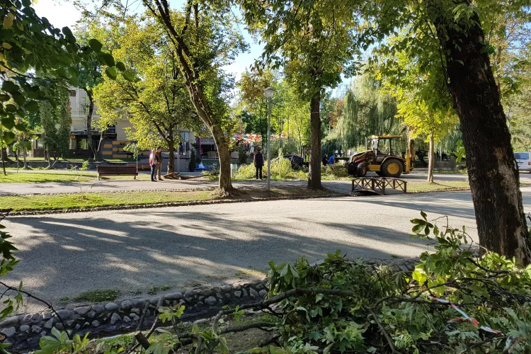 Cluj-Napoca: Orașul a fost serios afectat de ”uraganul” de duminică! Cum arată Parcul Central luni dimineața - VIDEO