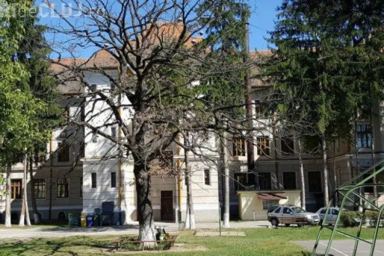 S-a uscat stejarul sădit de Arsenie Boca: ”Este semn rău” 