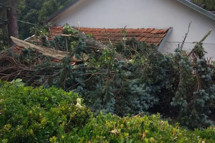 Muzeul din Ciucea, închis în urma furtunii de duminică - FOTO