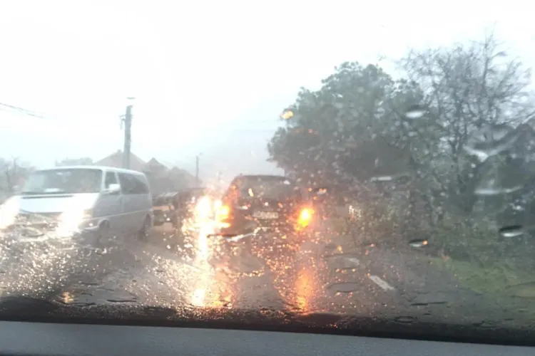 Furtună puternică la Negreni! Copaci căzuți pe drum - FOTO