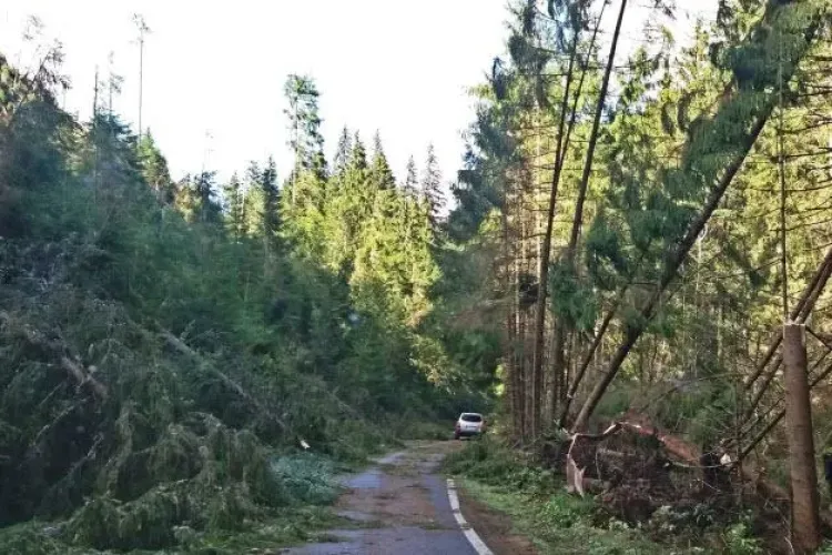 Eroii neștiuți ai ”uraganului” care a lovit Clujul! Polițiștii din Măguri Răcătău nu au stat cu mâinile în sân