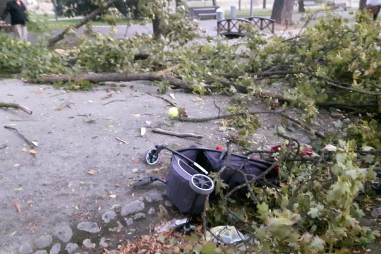 ”Uraganul” de la Cluj a prins o familie în Parcul Central. Copacii cădeau în jurul lor - FOTO