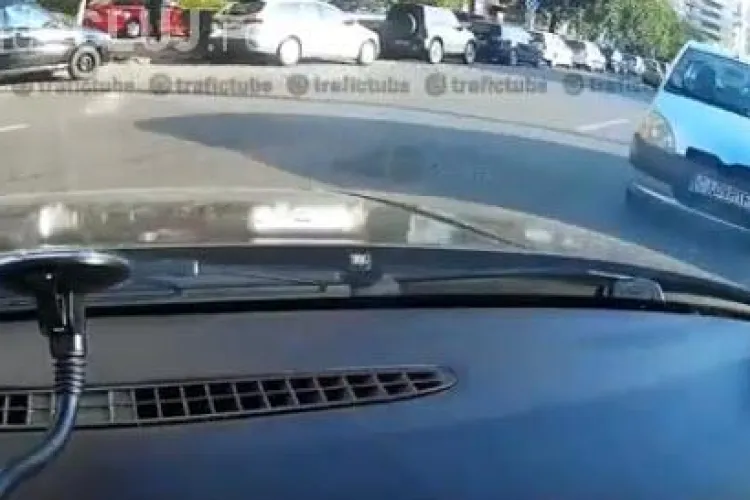 E plin de BIZONI în traficul clujean - VIDEO