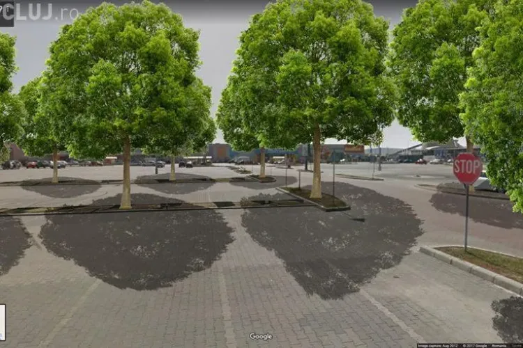 Bugetare participativă: Clujenii vor demolarea garajelor și plantarea de copaci