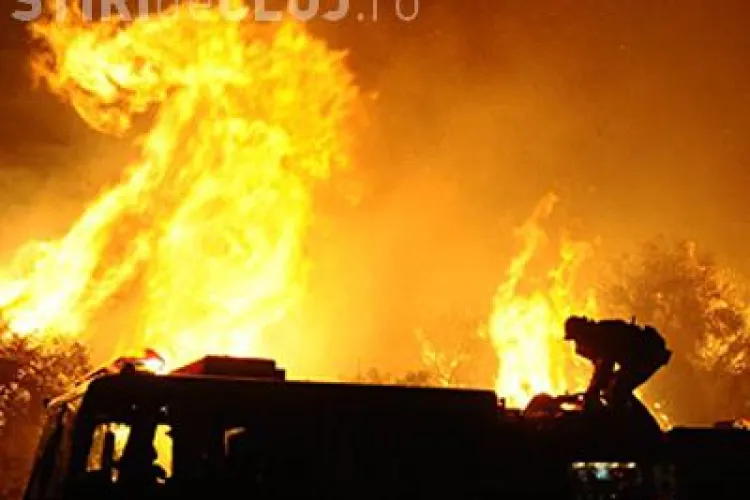 VIDEO - Incendiul MARE lângă Pata Rât. Au ars zeci de barăci ale romilor de pe strada Cantonului
