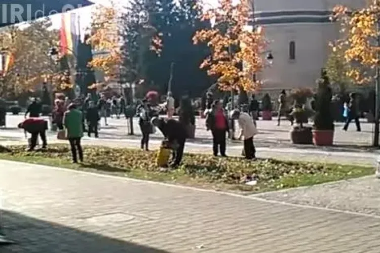 Enoriașii care au mers în pelerinaj la moaștele Sfintei Parascheva s-au apucat să culeagă florile din centrul Iașiului VIDEO