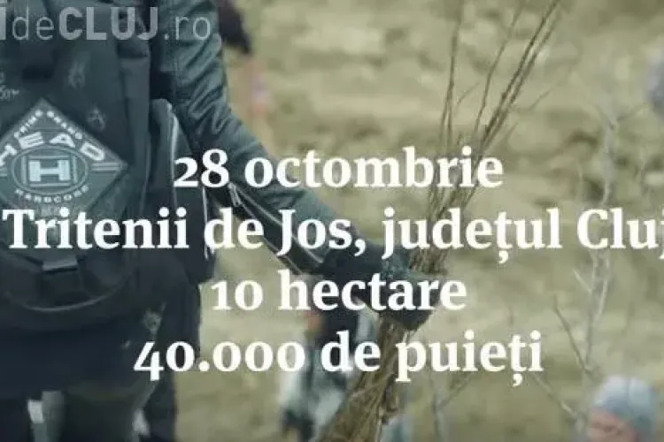 Cluj: Pădurea Transilvania va fi împădurită pe 10 hectare. Se caută voluntari