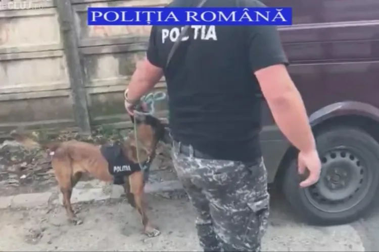 Razie de amploare în Piața Mărăști! Trei infractori căutați au fost depistați de polițiști VIDEO