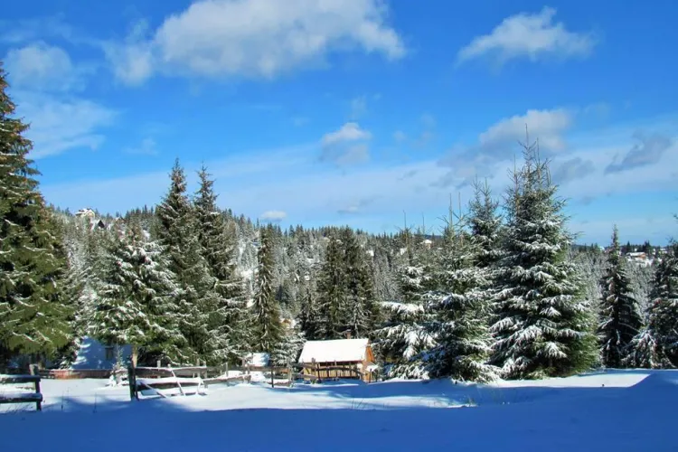 Peisaj de poveste de la Băișoara! Galerie FOTO