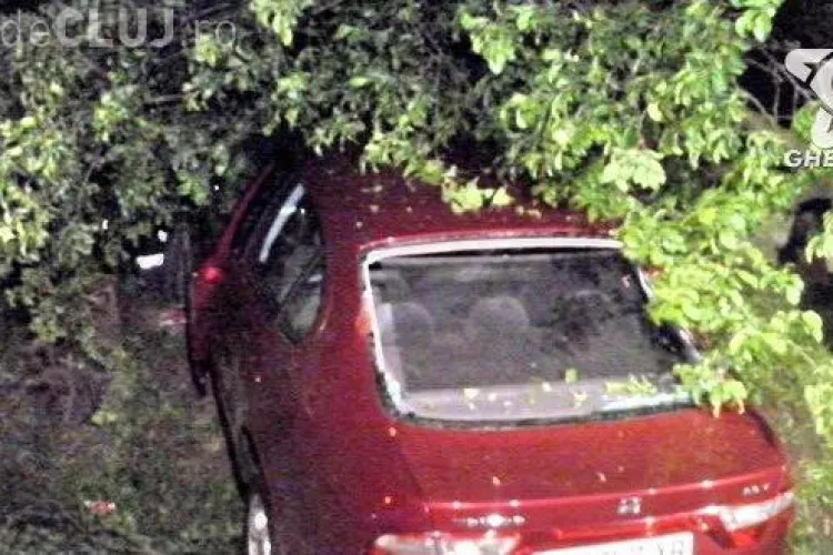 Viteza și neatenția fac victime la Cluj! Un șofer a fost rănit grav după ce a intrat cu mașina într-un copac