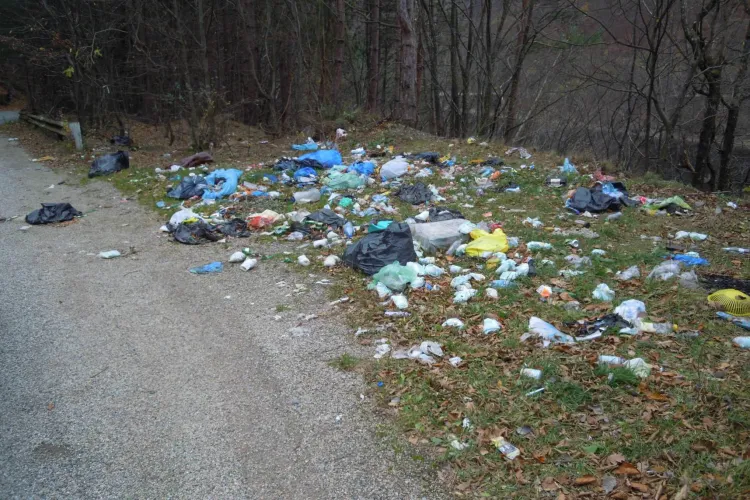 Ecologizare în zona lacului Tarniţa. Cine e de vină? Turiștii sau autoritățile - FOTO