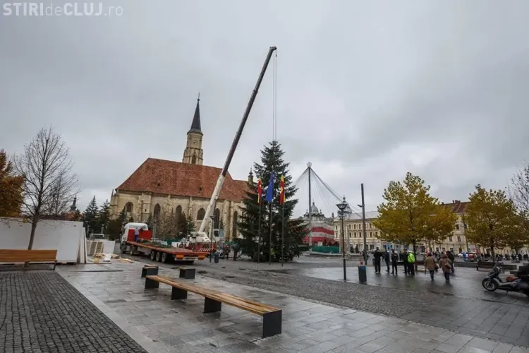 Brad de Crăciun de 17 metri în centrul Clujului. A fost donat de o femeie din cartierul Gheorgheni FOTO