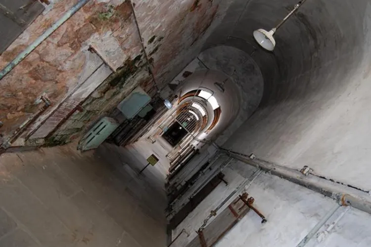 Cluj-Napoca: Polițiști mușcați de ploşniţe în arestul IPJ Cluj. Despăgubiri foarte mari