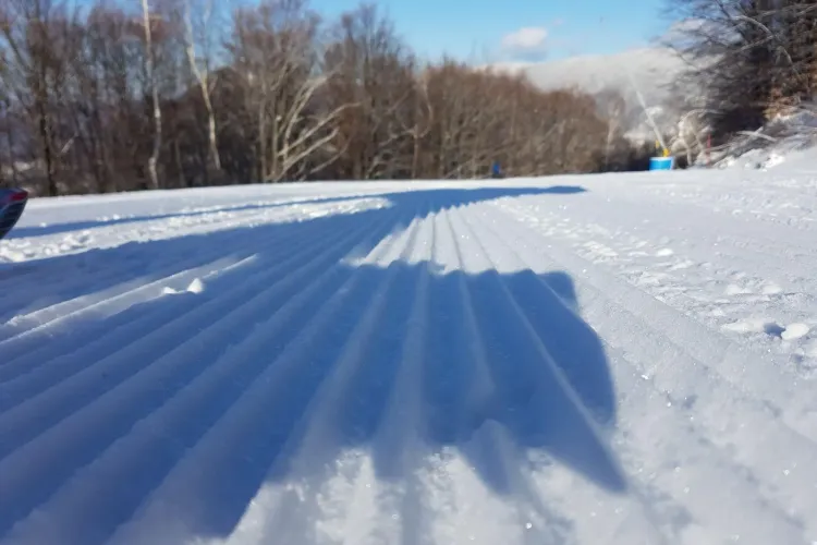 Schi la Șuior. Pârtiile sunt cele mai bune din acest sezon - FOTO