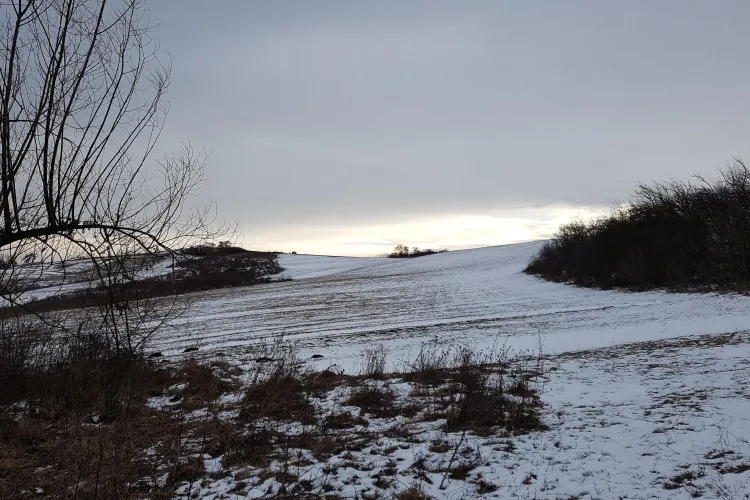 Braconierii își fac de cap în Borhanci: Au tras cu arma după noi - FOTO