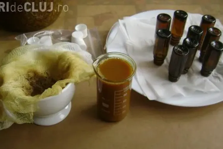 Propolis sau tinctura de propolis: Cum se prepară tinctura de propolis