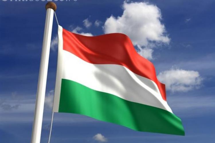 Primarul din Sfântu Gheorghe somat de prefectură după ce a arborat doar steagul Ungariei în tot orașul