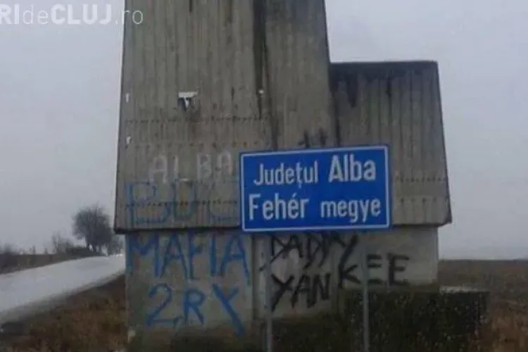 Cu ce se ocupă deputații români. Un parlamentar PNL e nemulțumit din cauza unui indicator bilingv