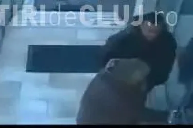 Momentul în care un director de la CNAIR Cluj își lovește o angajată, surprins de camerele de supraveghere VIDEO