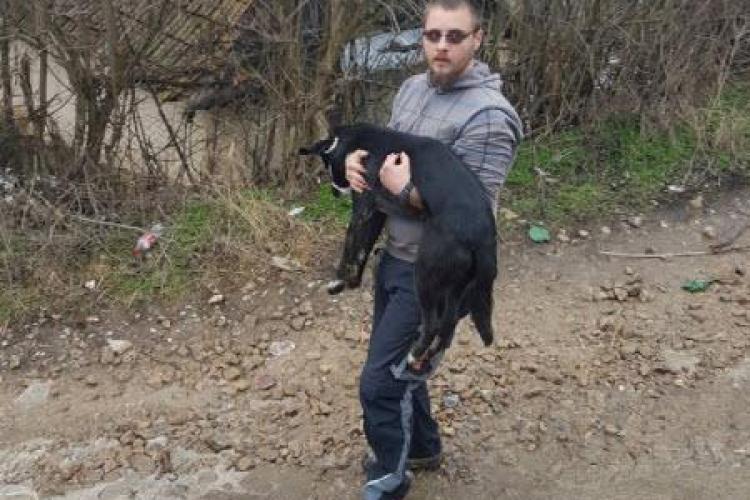 Cluj: Operațiune de salvare a unui cățel ce avea de 18 zile o conservă blocată în gură - VIDEO