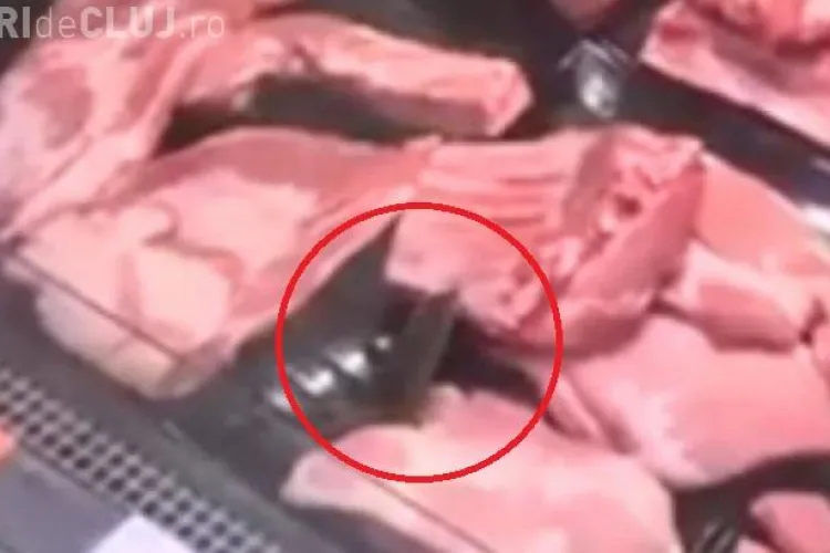 Șoarece filmat într-o măcelărie. ”Degusta” din produse - VIDEO