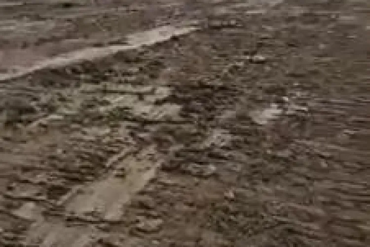 Centura de Sud a comunei Florești, terminată până la finele anului - VIDEO