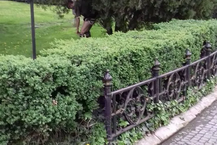 Cluj: Cât sa fii de nesimțit ca să faci ”treaba mare” în Piața Unirii - FOTO