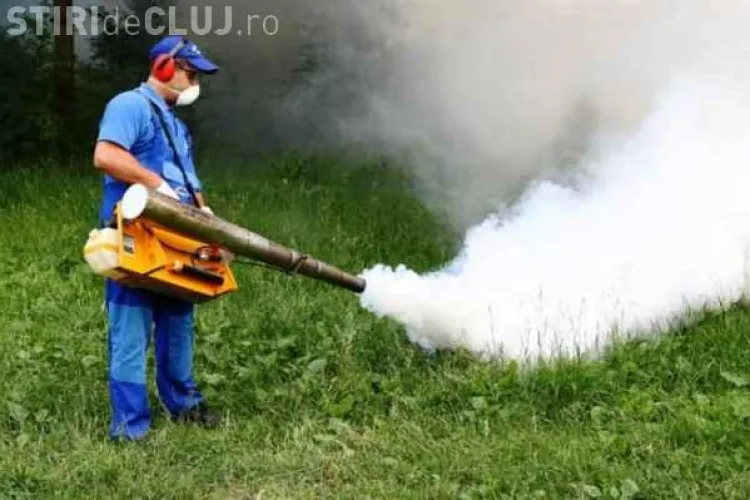 Cluj: Acțiuni de dezinsecție, deratizare și dezinfecție