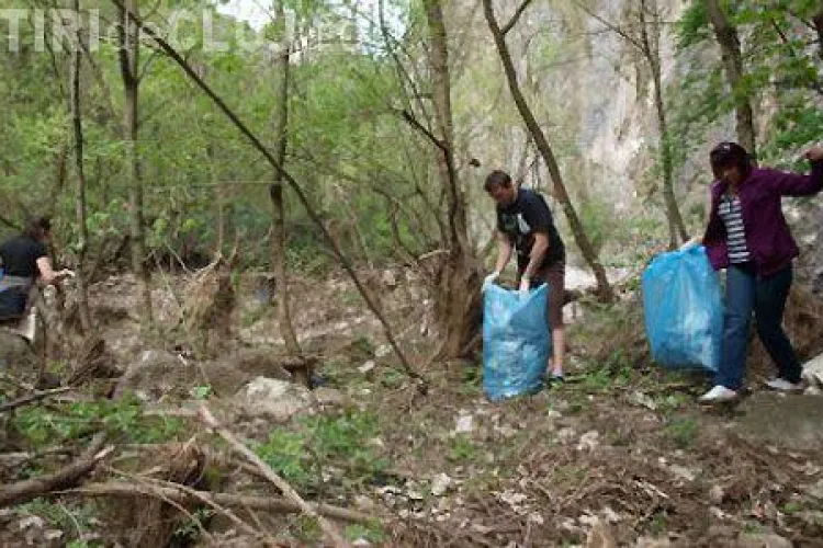 Acțiune de ecologizare a Cheilor Turzii