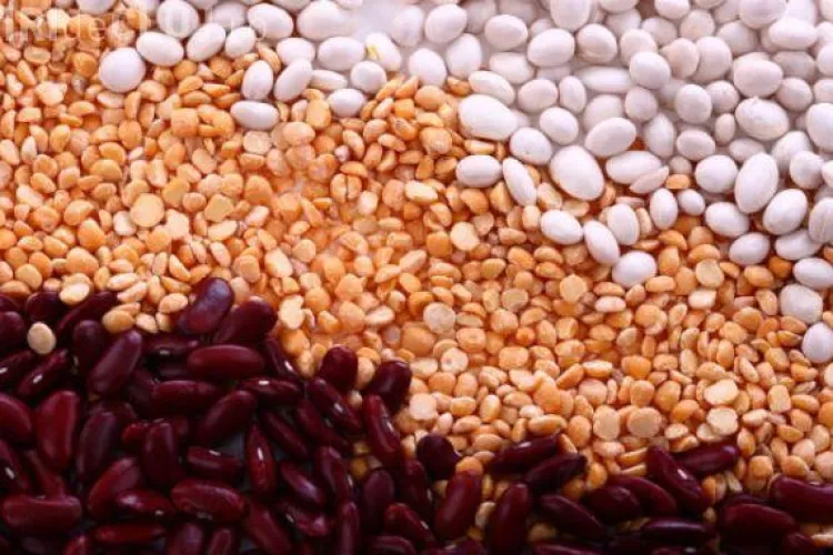 Care sunt proteinele complete şi în ce alimente le găseşti