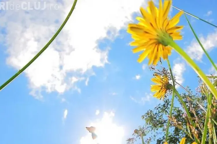 Prognoza meteo pe două săptămâni: Vezi cum va fi vremea în Transilvania până la finalul lunii aprilie