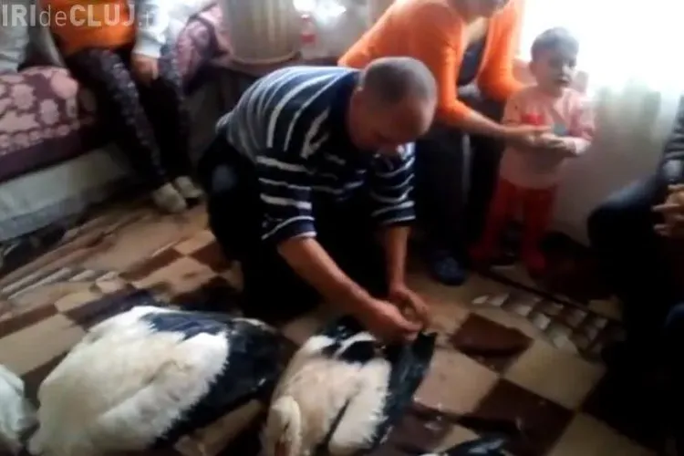 Românii au salvat berzele de la îngheț. Gestul este făcut de o familie sărmană, dar cu suflet - VIDEO