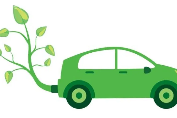 Biodiesel din porumb - inovație pe piața agricolă