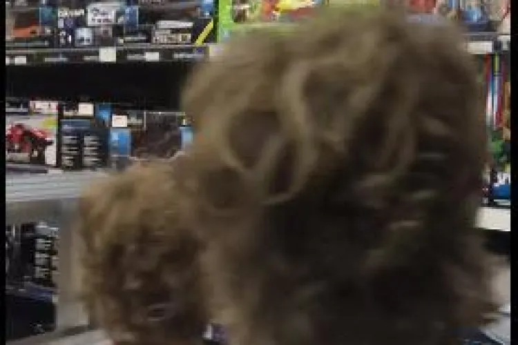 ”Liviu Dragnea a scumpit Lego!”. Cum plânge un copil pentru că s-au scumpit jucăriile - VIDEO