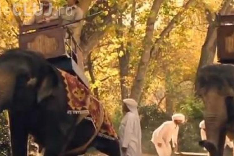 HBO folosește elefanți reali pentru serialul ”Westworld”. Unul dintre animale plângea în timp ce i se aplicau electroşocuri
