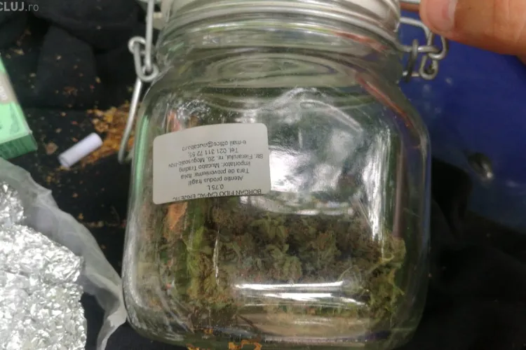 Tineri prinși cu droguri asupra lor, în Pădurea Hoia-Baciu. Jandarmii au ridicat un borcan plin cu muguri de cannabis FOTO
