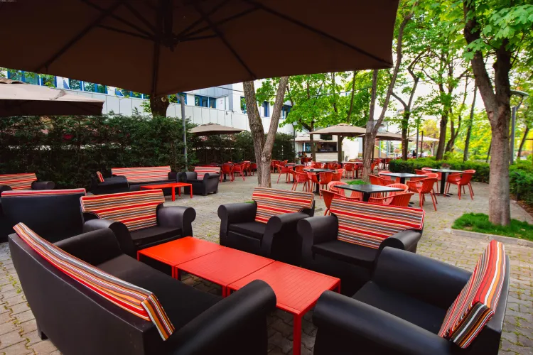 Terasa Univers T s-a deschis. ”Meniul zilei Univers T” este servit zilnic - FOTO