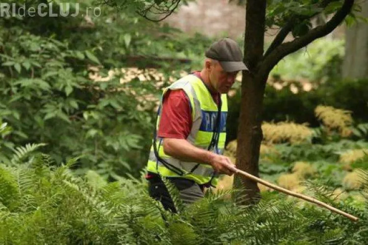 Adolescentă de 15 ani din România, înjunghiată mortal în Germania. Agresorul s-a predat 