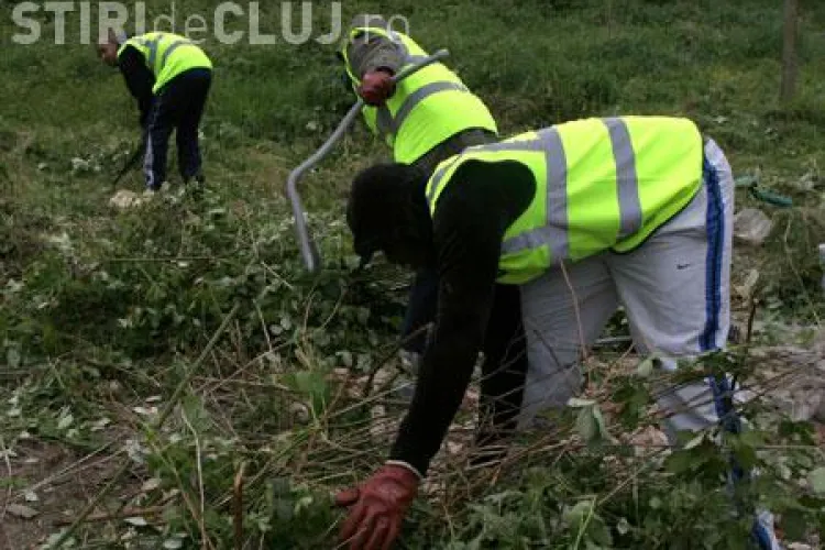 Pedepsele cu munca în folosul comunității nu se pun în aplicare. Se schimbă legea 