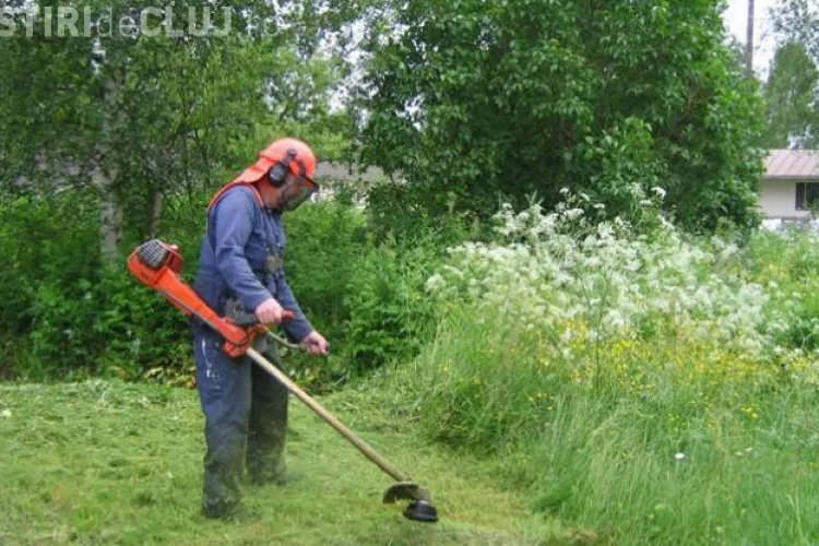 Boc amenință Garden Center Group cu rezilierea contractului pentru că nu îngrijesc cum trebuie spațiile verzi