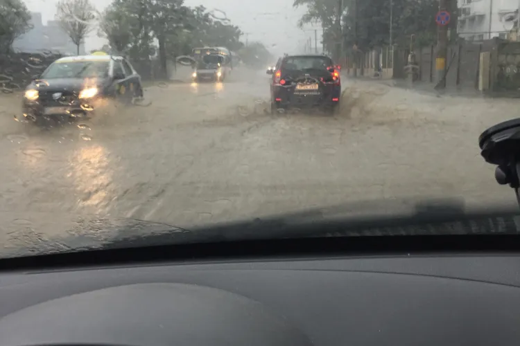 Mica Veneție de pe Bulevardul Muncii - VIDEO