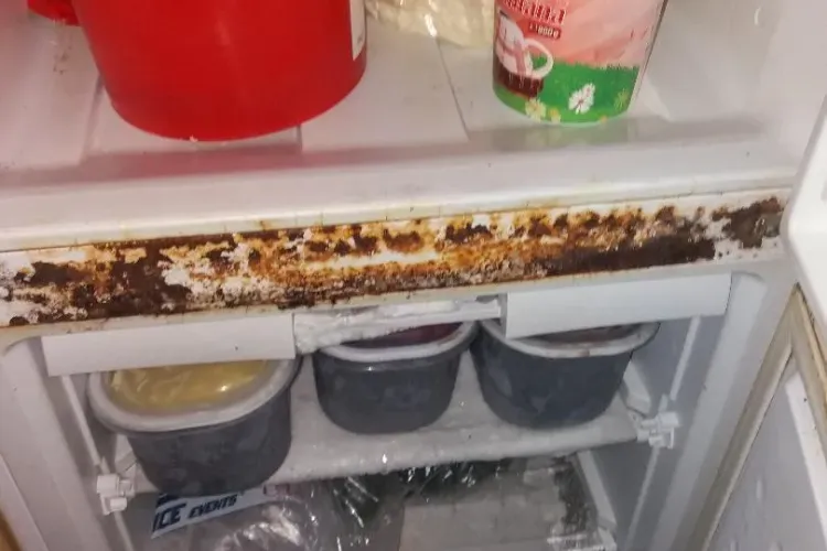 Produse expirate și frigidere cu rugină la o shaormerie din Cluj! Inspectorii OPC au confiscat peste 23 kg de carne FOTO