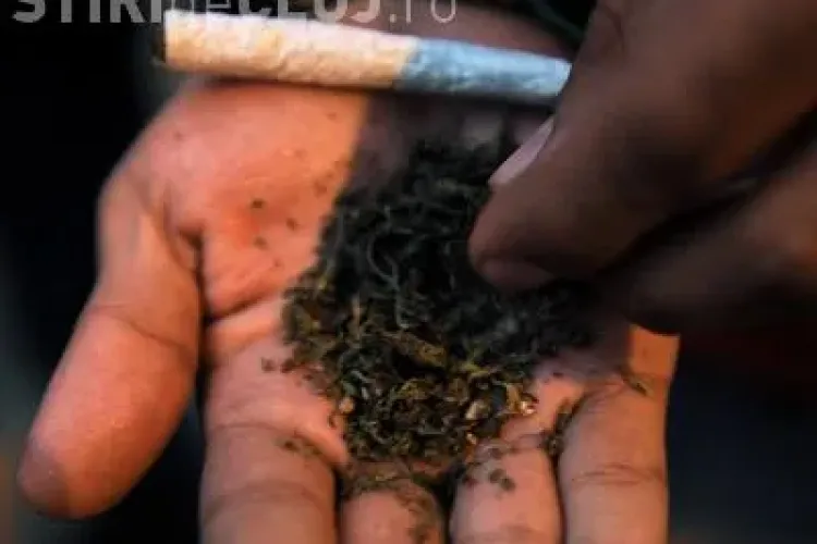 Deputatul Mircia Giurgiu a initiat un proiect de lege pentru interzicerea plantelor etnobotanice la nivel national