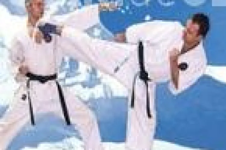 Conferinta de Arte Martiale Japoneze a avut loc sambata, la Cluj