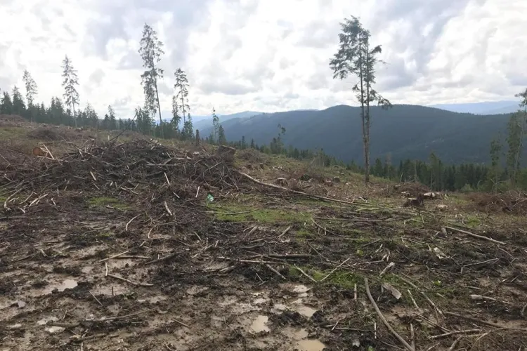 Priveliște de la Crucea Iancului spre Beliș: Era un loc din rai, iar acum e iadul - VIDEO