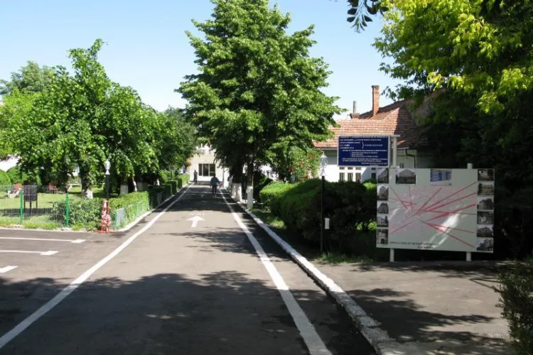 Contact - Spitalul pentru Copii Cluj-Napoca