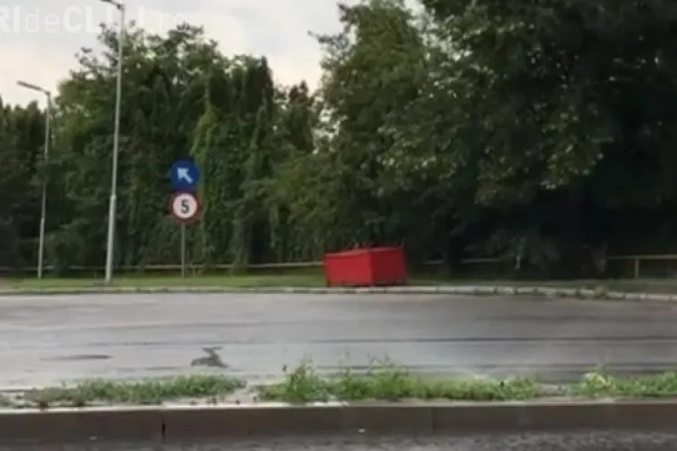 La Cluj sistemele de irigații merg și pe timp de ploaie FOTO