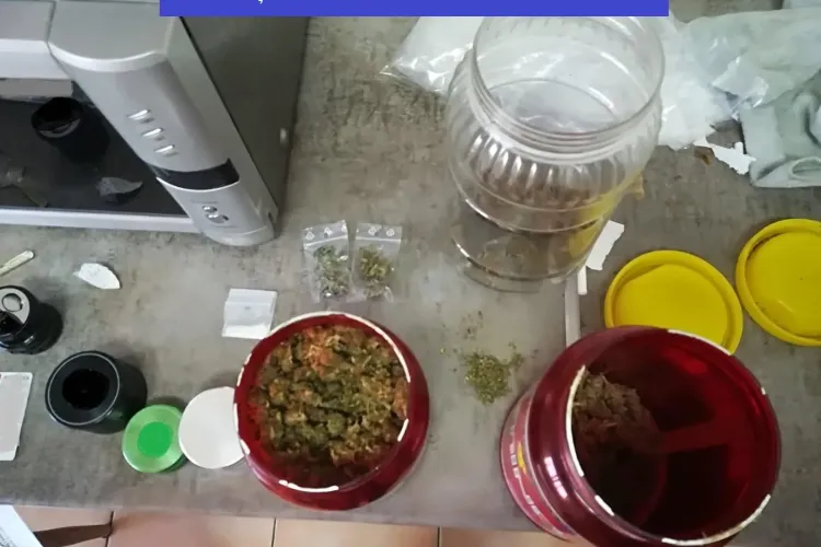 Percheziții la traficanți de droguri, la Cluj. Trei ”dealeri” au fost puși sub arest preventiv FOTO