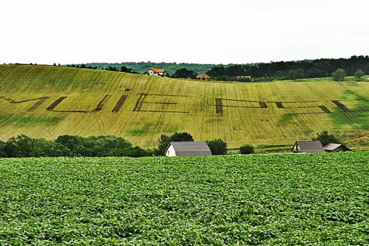 Clujeanul din Sâmboleni, care a scris pe câmp M... PSD, a recidivat: Vă vedem! - FOTO